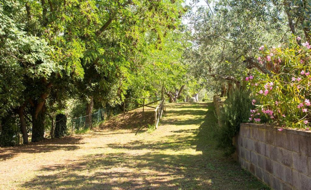 Divacamp Glamping Resort Campiglia Marittima Esterno foto